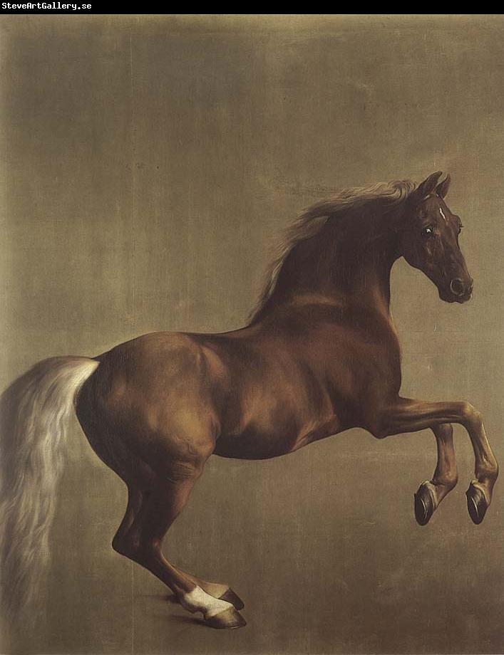 George Stubbs Whistlejacket